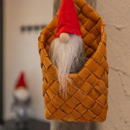 Northern Lights River Nest Rovaniemi