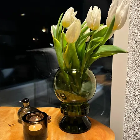 Northern Lights River Nest Villa