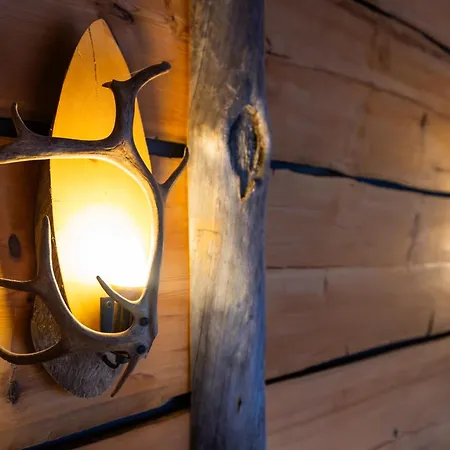 Villa Northern Lights River Nest Rovaniemi