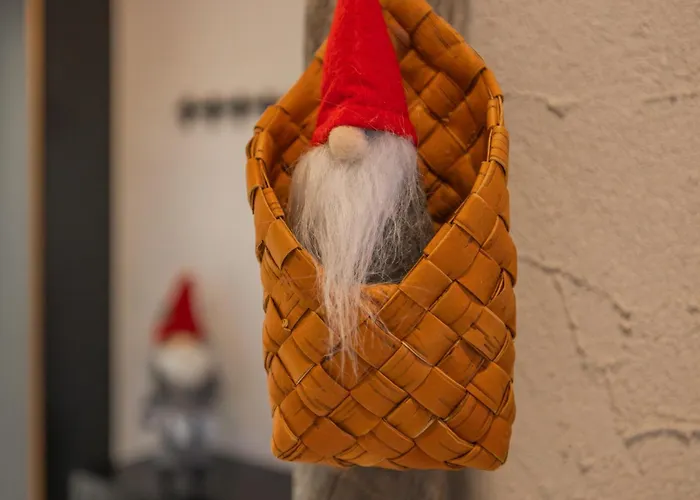 Northern Lights River Nest Rovaniemi