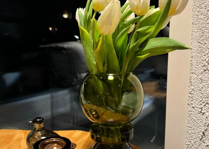 Northern Lights River Nest Willa